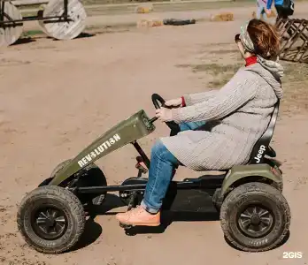 Дубровский - 44