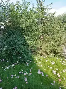 Иркут - 0