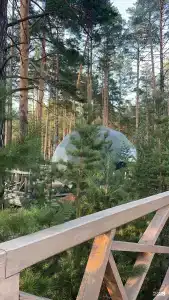 Хвойный берег - 61