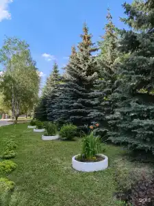 Спутник - 21