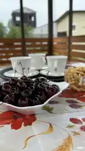 Домашний Очаг - 27