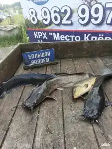 МестоКлёва - 76