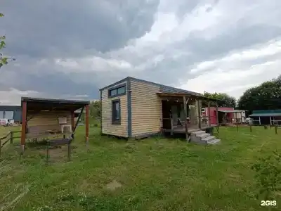 Смородина - 5