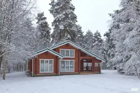 Вековые Сосны - 23