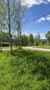 Ланьдиво - 16