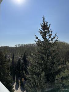Девон - 27