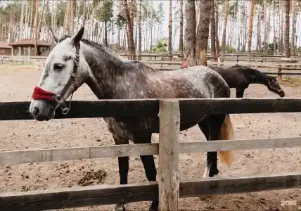 Русский - 132