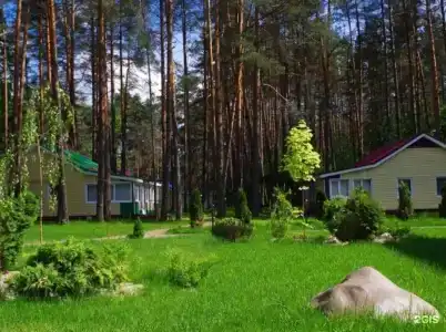 Сосновый бор - 9