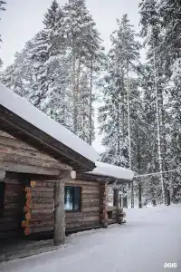 Луми - 65