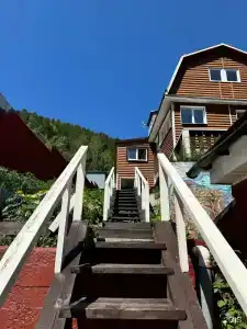 Бодрый Медведь Листвянка - 1