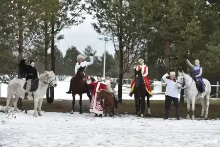 Журавка - 146