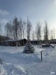 Гарнет Холидей Грин Форест - 91