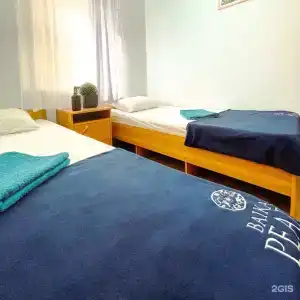 Киви и Цитрус - 35