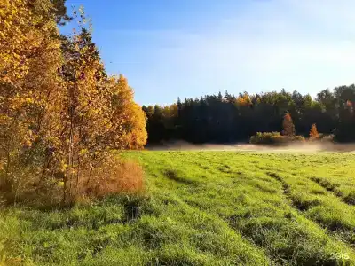 Снегурия - 56