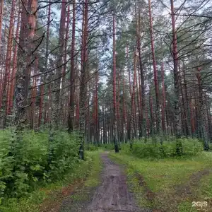 Липин Бор - 15