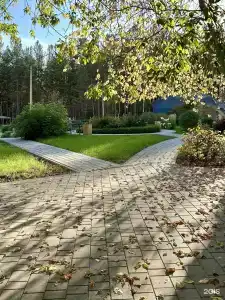 Сосновый бор Ачинск - 25