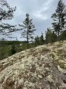 Дом с видом на озеро рядом с Ладожскими шхерами - 85