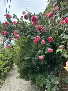 Старый дворик - 28