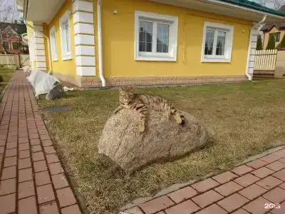 В 612 - 21