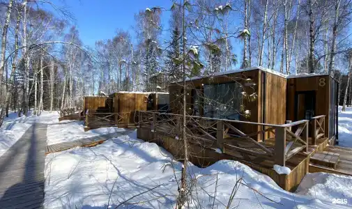 Снежные гуси - 17