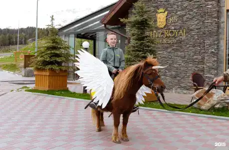Arkhyz Royal Resort & Spa - 113