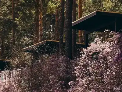 D.O.M. Катунь - 2