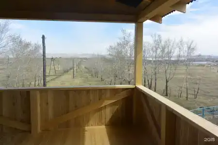 Василёк - 29