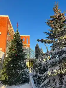 Ярославское подворье - 36