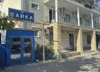 Чайка - 5