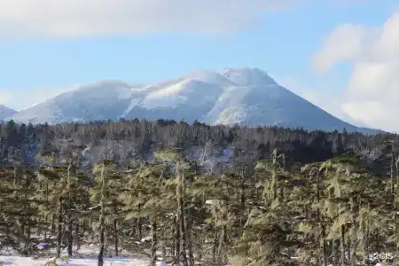Менделеев - 20