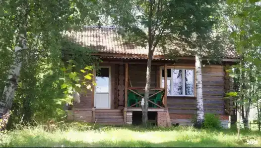 Константа - 23