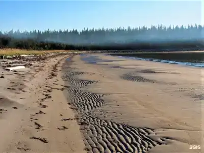 Кедр Грасс Белое Море - 31