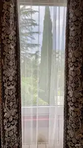Золотой Лотос - 26