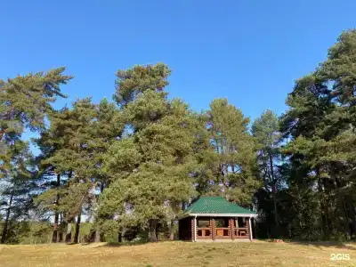Вековые Сосны - 32
