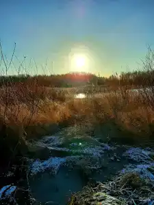 Снегурия - 41