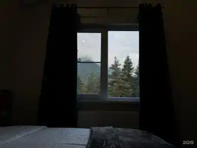 Три медведя - 62