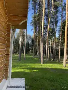 Звезда - 6