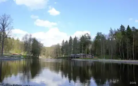 Розендорф - 71