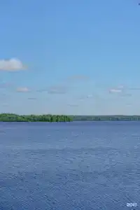 Jarvi - 5