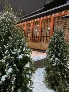 Три кота - 49