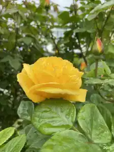 Семейный отель Марьино - 0
