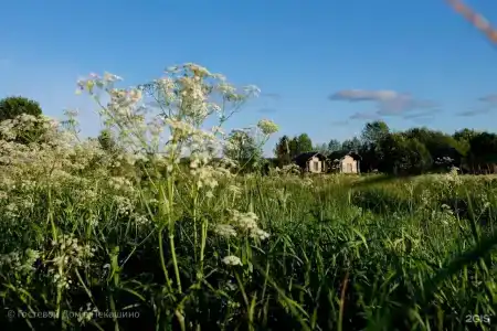 Веркола - 4