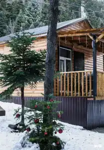 Миллениум - 15