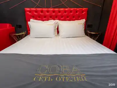 Сова на Автозаводской - 20