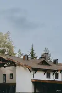 Клевер - 18