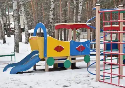 Русский бор - 68