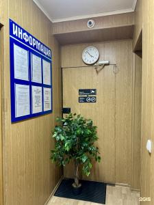 Новосел - 40