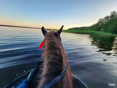 Лосево Парк - 56
