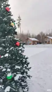 Белый берег - 13
