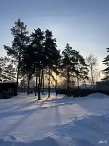 Химик - 29